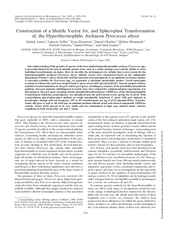 (PDF) Construction of a Shuttle Vector for, and Spheroplast ...