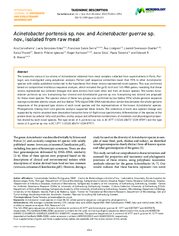 (PDF) Acinetobacter portensis sp. nov. and Acinetobacter guerrae sp ...