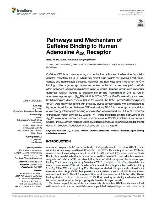 (PDF) Pathways and Mechanism of Caffeine Binding to Human Adenosine A2A ...