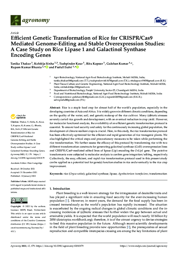 (PDF) Efficient Genetic Transformation of Rice for CRISPR/Cas9 Mediated ...