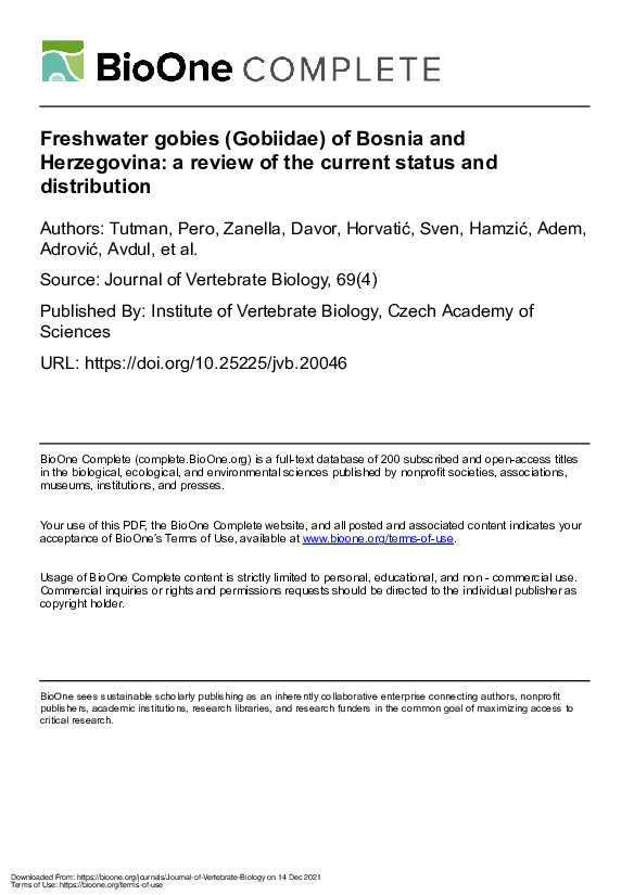 (PDF) Freshwater gobies (Gobiidae) of Bosnia and Herzegovina a review