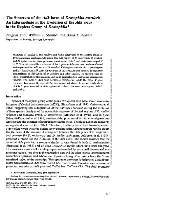(PDF) The structure of the Adh locus of Drosophila mettleri: an ...