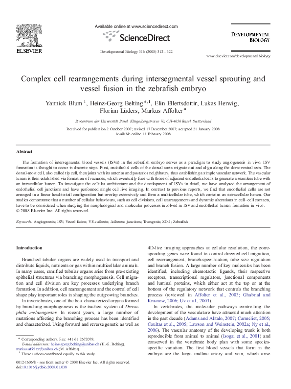 (PDF) Complex cell rearrangements during intersegmental vessel ...