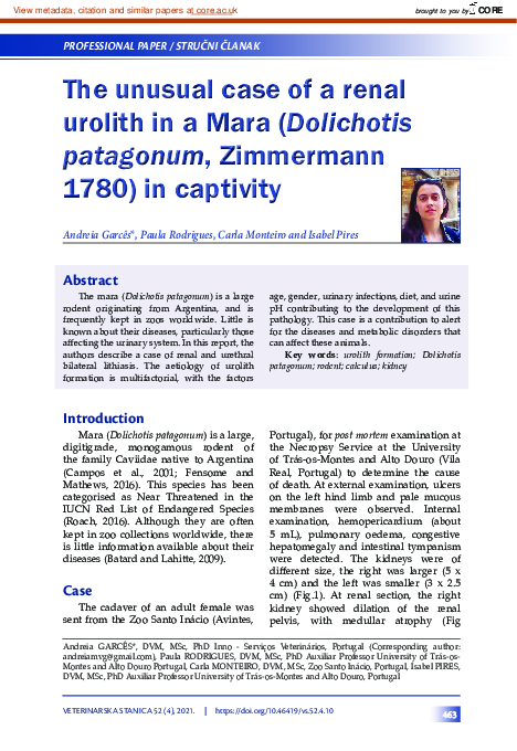 (PDF) The unusual case of a renal urolith in a Mara (Dolichotis ...