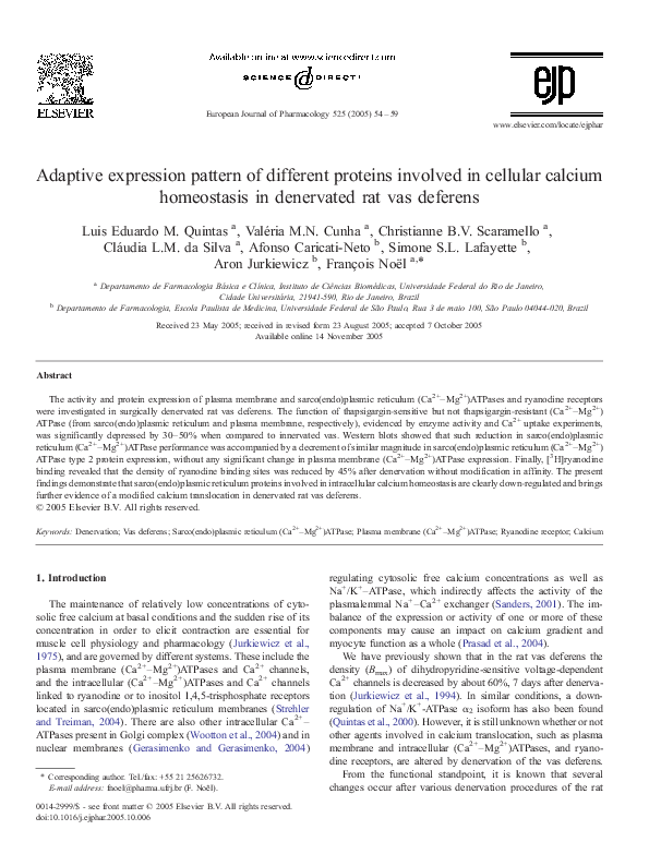 (PDF) Adaptive expression pattern of different proteins involved in ...