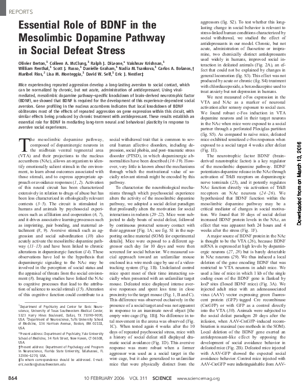(PDF) Essential Role of BDNF in the Mesolimbic Dopamine Pathway in ...