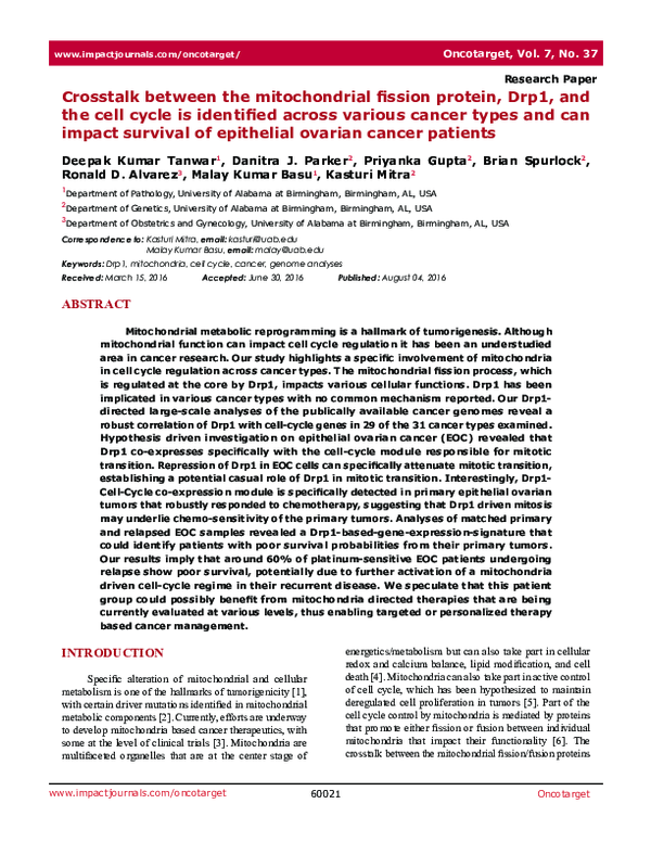 (PDF) Crosstalk between the mitochondrial fission protein, Drp1, and ...
