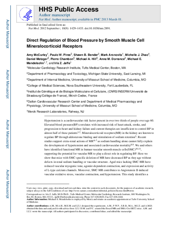 (PDF) Direct regulation of blood pressure by smooth muscle cell ...