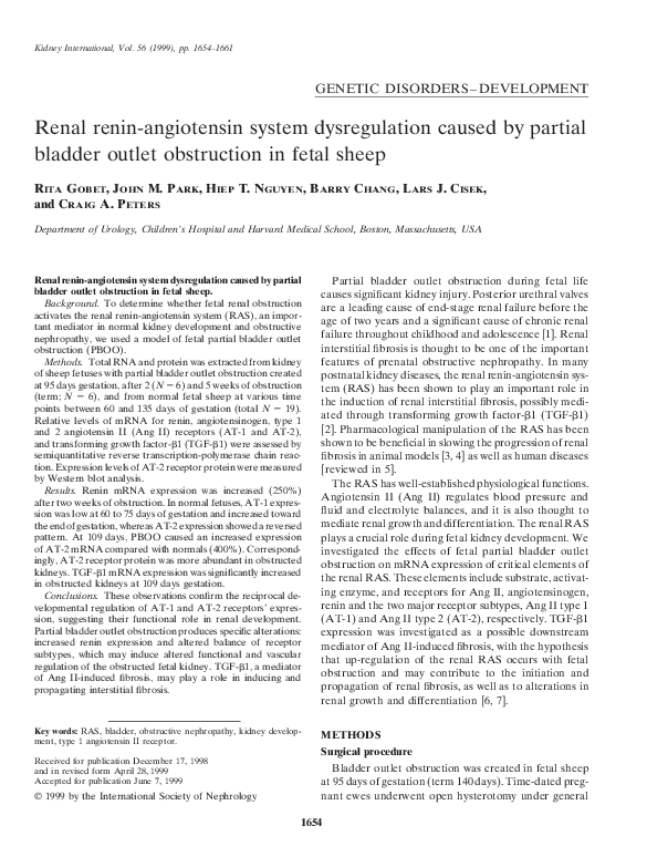 (PDF) Renal renin-angiotensin system dysregulation caused by partial ...