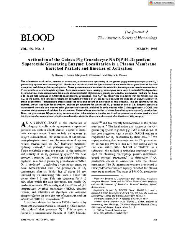 A closer look at Guinea Pig Vitamin D3 Activation Enzyme
