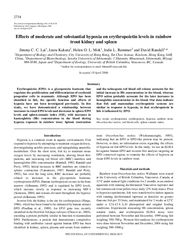 (PDF) Effects of moderate and substantial hypoxia on erythropoietin ...