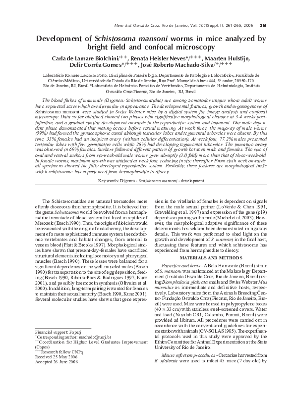 (PDF) Development of Schistosoma mansoni worms in mice analyzed by ...