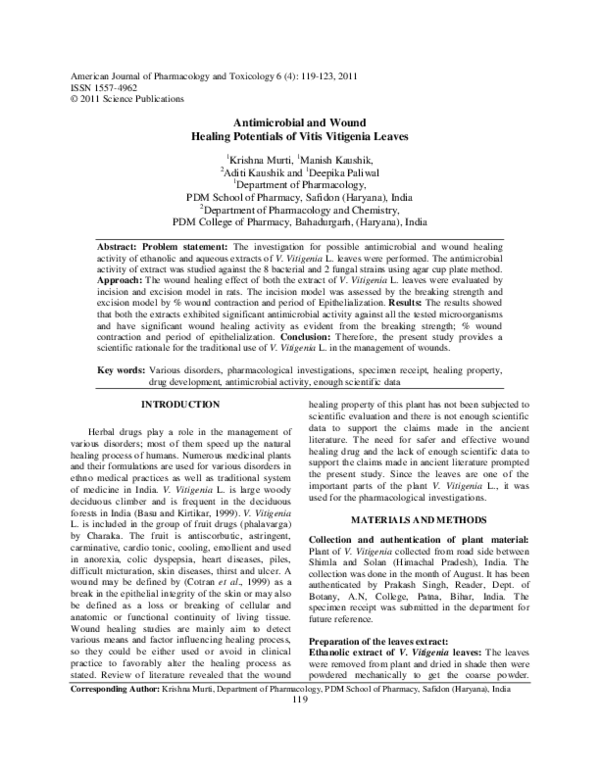 (PDF) Antimicrobial and Wound Healing Potentials of Vitis Vitigenia Leaves