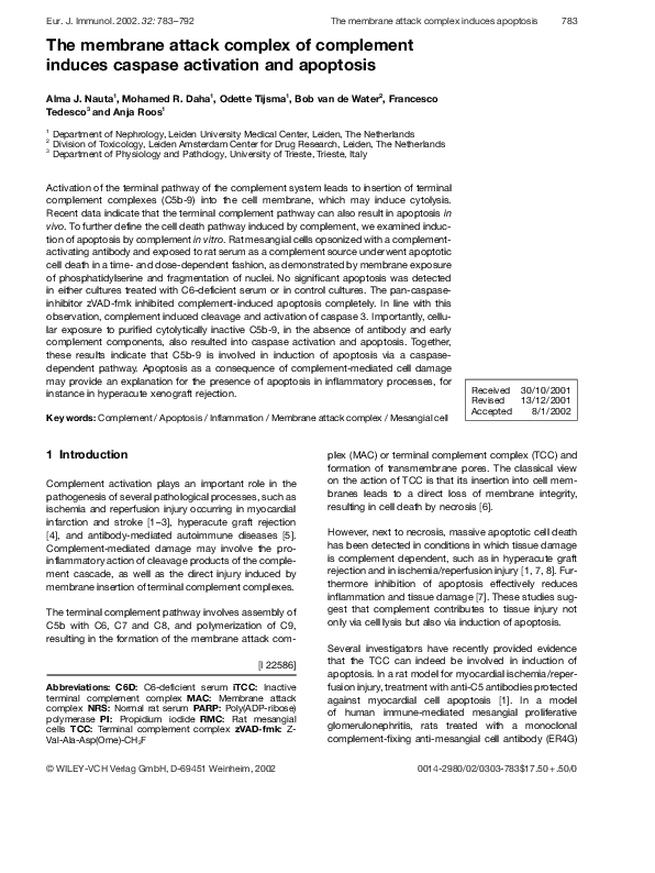 (PDF) The membrane attack complex of complement induces caspase ...