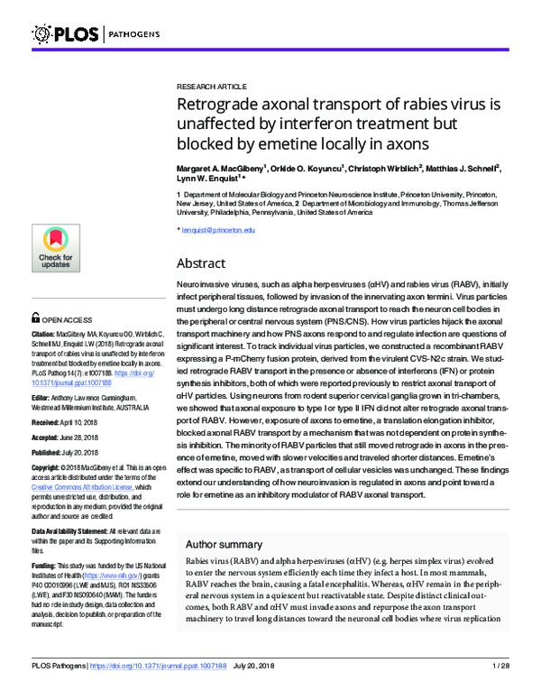 (PDF) Retrograde axonal transport of rabies virus is unaffected by ...