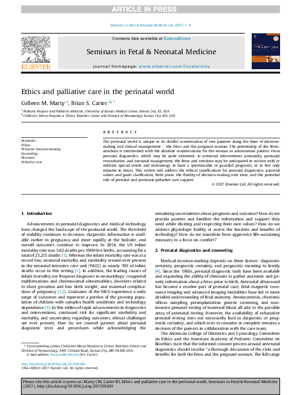 (PDF) Ethics and palliative care in the perinatal world