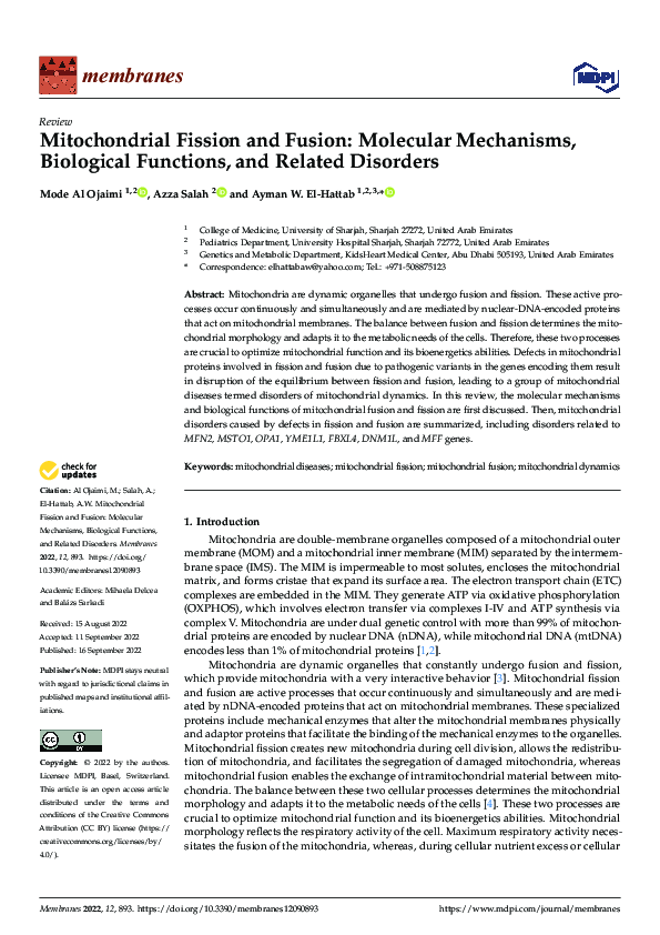 (PDF) Mitochondrial Fission and Fusion: Molecular Mechanisms ...