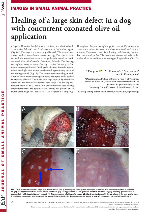 (PDF) Healing of a large skin defect in a dog with concurrent ozonated ...