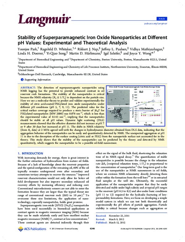 (PDF) Stability of Superparamagnetic Iron Oxide Nanoparticles at ...
