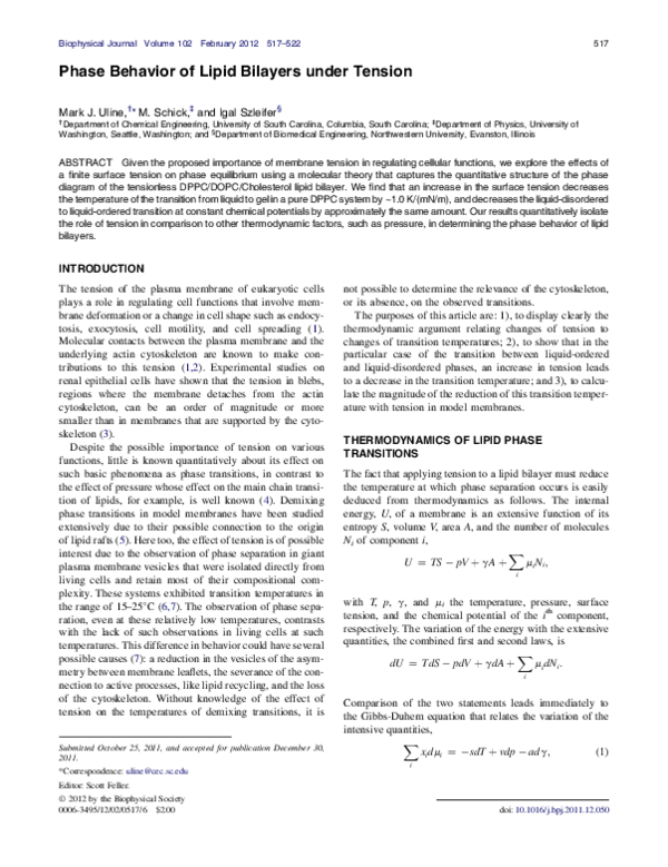 (PDF) Phase Behavior of Lipid Bilayers under Tension