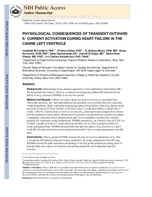 (PDF) Physiological consequences of transient outward K+ current ...