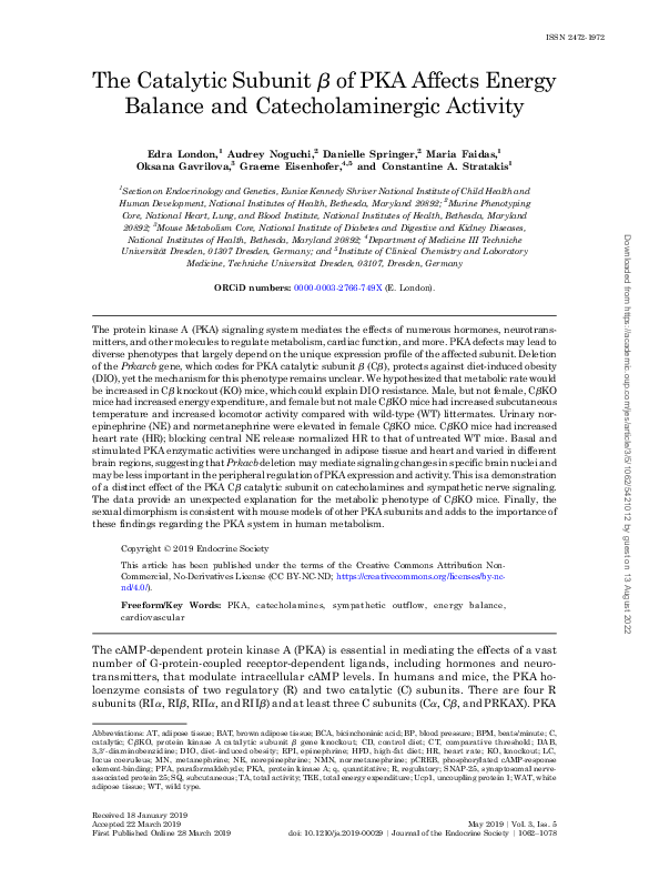(PDF) The Catalytic Subunit β of PKA Affects Energy Balance and ...