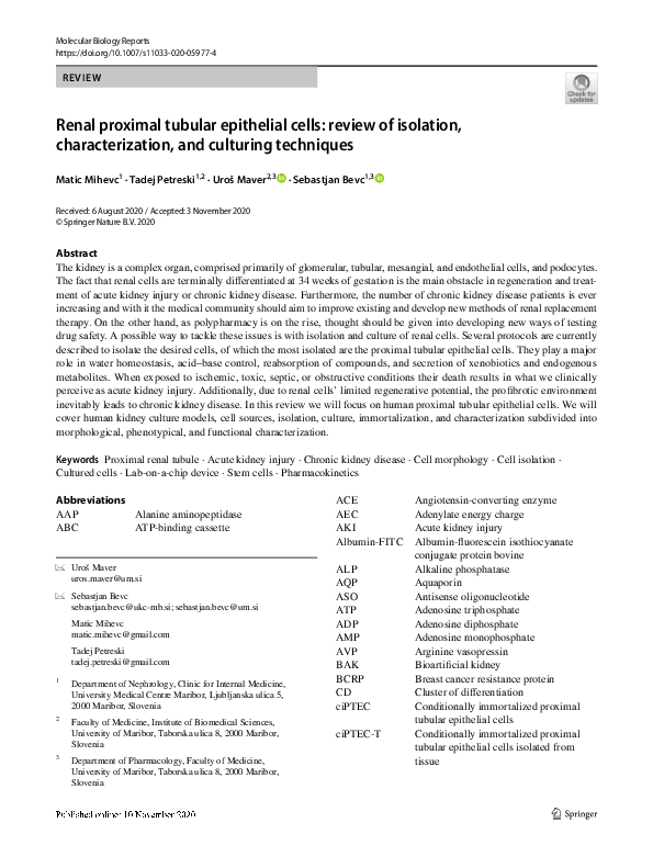 (PDF) Renal proximal tubular epithelial cells: review of isolation ...