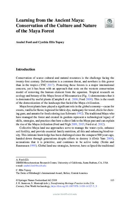 (PDF) Learning from the Ancient Maya: Conservation of the Culture and ...