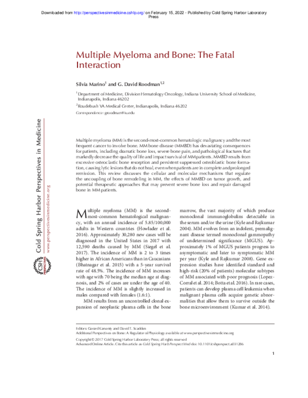 (PDF) Multiple Myeloma and Bone: The Fatal Interaction
