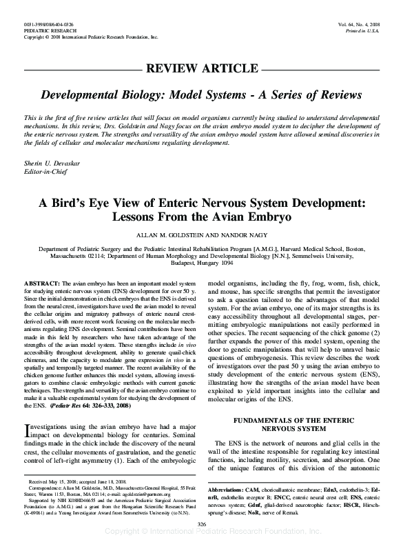 (PDF) A Bird's Eye View of Enteric Nervous System Development: Lessons ...
