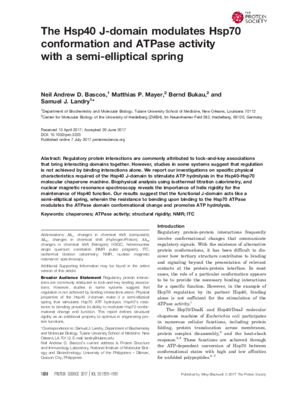 (PDF) The Hsp40 J-domain modulates Hsp70 conformation and ATPase ...