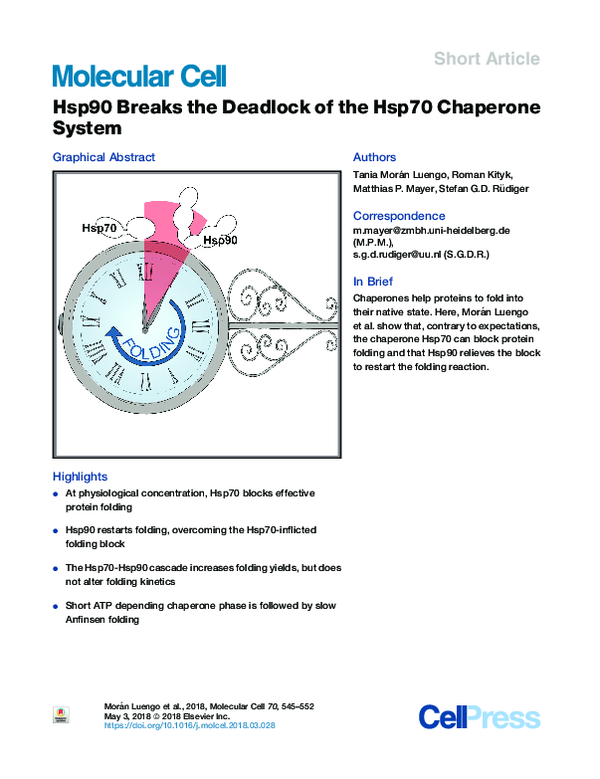 (PDF) Hsp90 Breaks the Deadlock of the Hsp70 Chaperone System