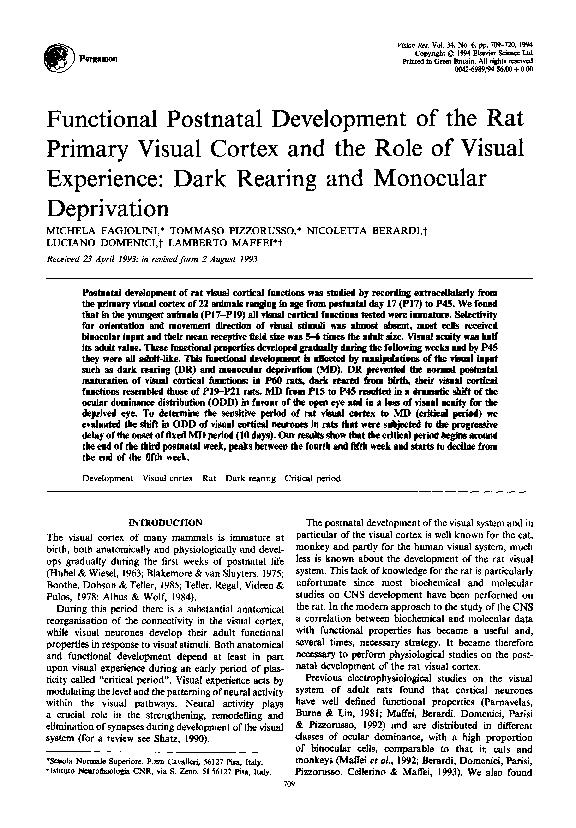 (PDF) Functional postnatal development of the rat primary visual cortex ...