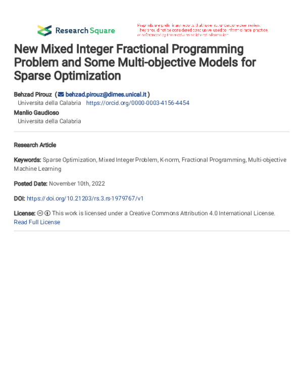 (PDF) New Mixed Integer Fractional Programming Problem and Some Multi ...