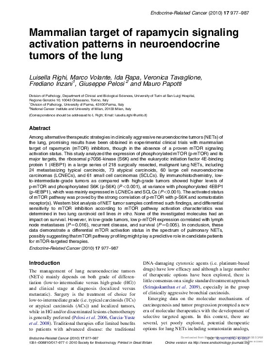 (PDF) Mammalian target of rapamycin signaling activation patterns in ...