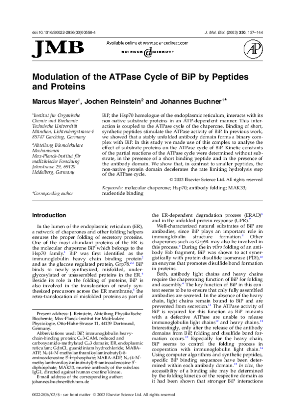 (PDF) Modulation of the ATPase Cycle of BiP by Peptides and Proteins