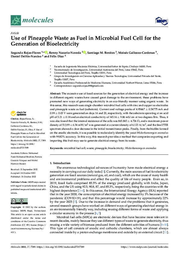 (PDF) Use of Pineapple Waste as Fuel in Microbial Fuel Cell for the ...