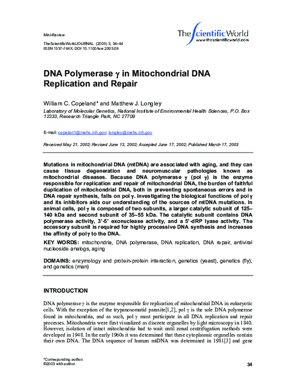 (PDF) DNA Polymerase γ in Mitochondrial DNA Replication and Repair