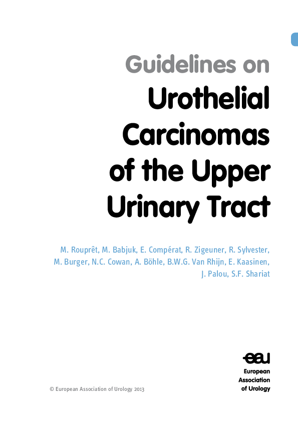 (PDF) Guidelines on Urothelial Carcinomas of the Upper Urinary Tract
