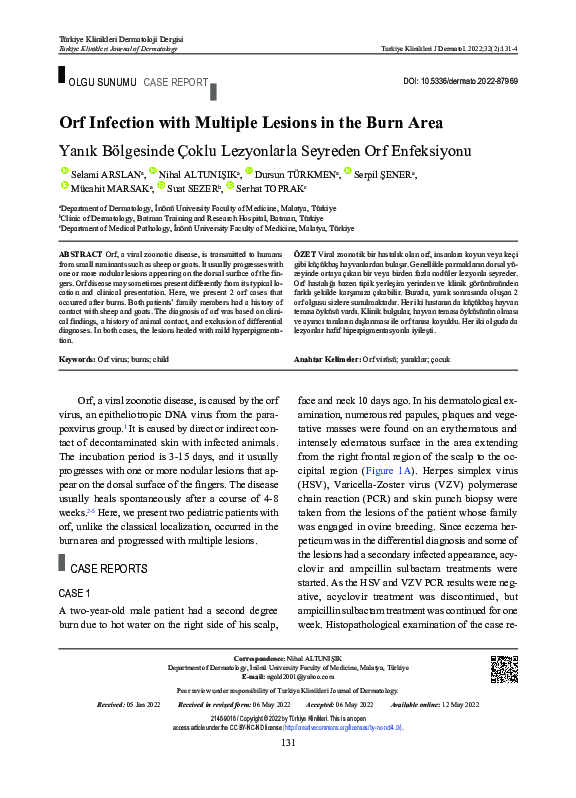 (PDF) Orf Infection with Multiple Lesions in the Burn Area