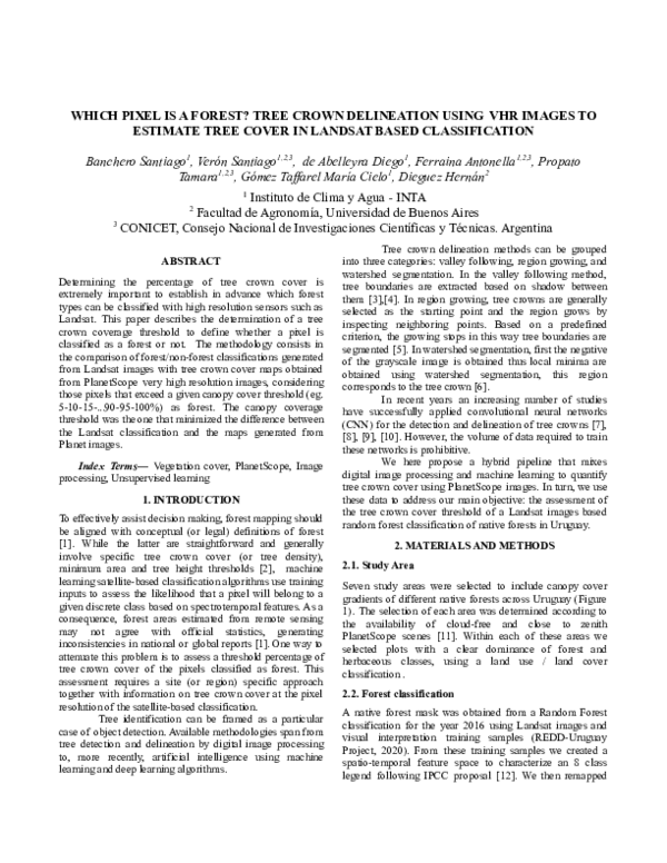 (PDF) Which Pixel is a Forest? Tree Crown Delineation Using VHR Images