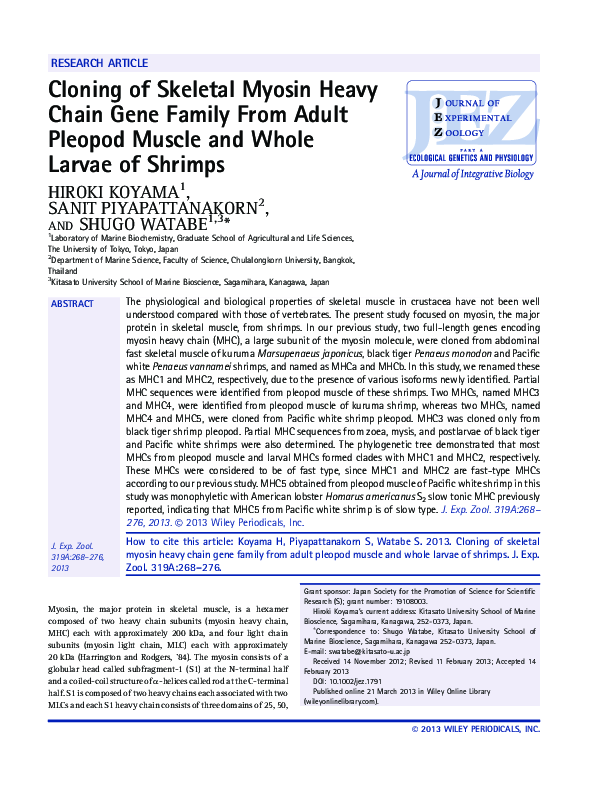 (PDF) Cloning of Skeletal Myosin Heavy Chain Gene Family From Adult ...