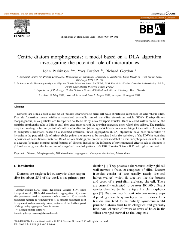 (PDF) Centric diatom morphogenesis: a model based on a DLA algorithm ...