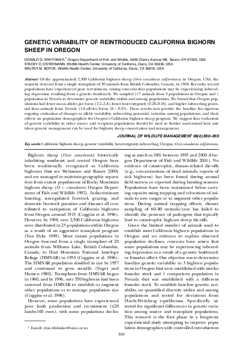 (PDF) Genetic Variability of Reintroduced California Bighorn Sheep in ...