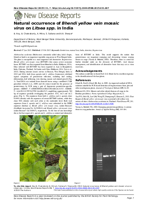 (PDF) Natural occurrence of Bhendi yellow vein mosaic virus on Litsea