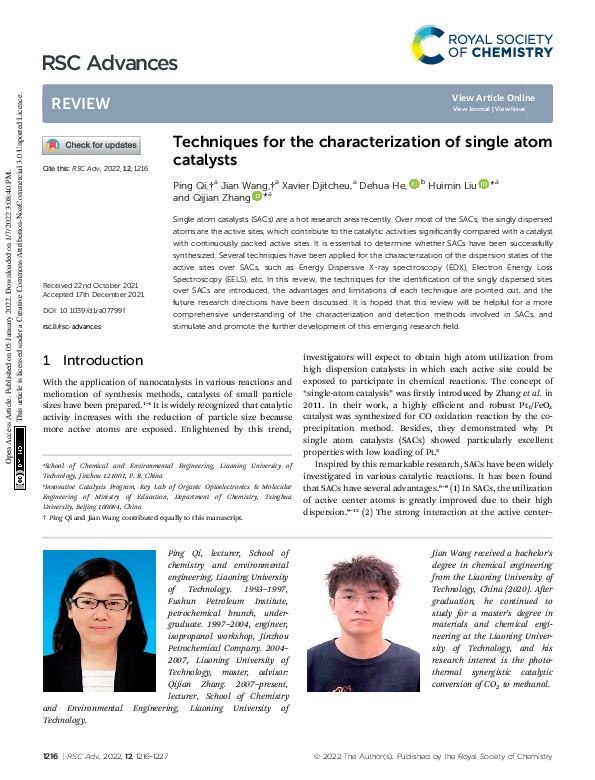 (PDF) Techniques for the characterization of single atom catalysts