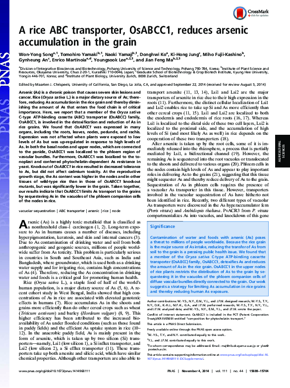 (PDF) A rice ABC transporter, OsABCC1, reduces arsenic accumulation in ...
