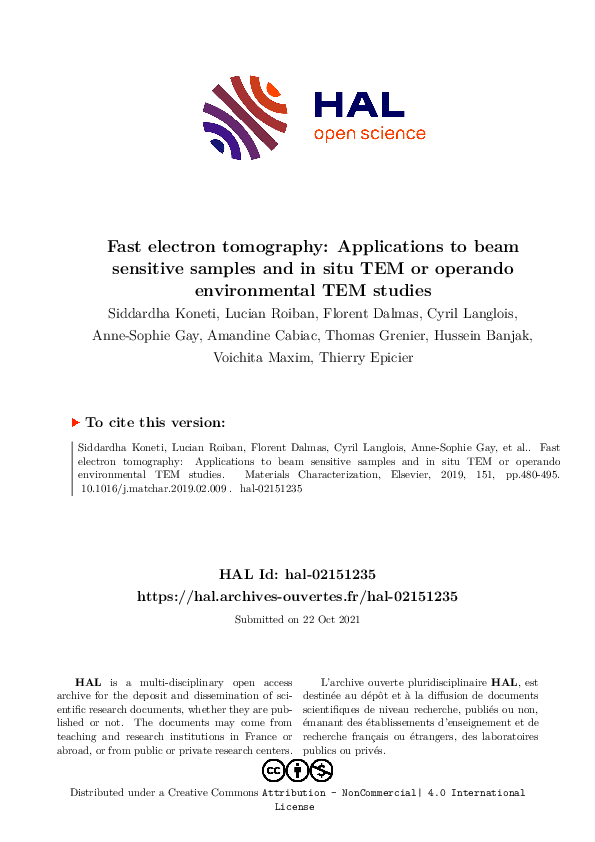 (PDF) Fast electron tomography: Applications to beam sensitive samples ...