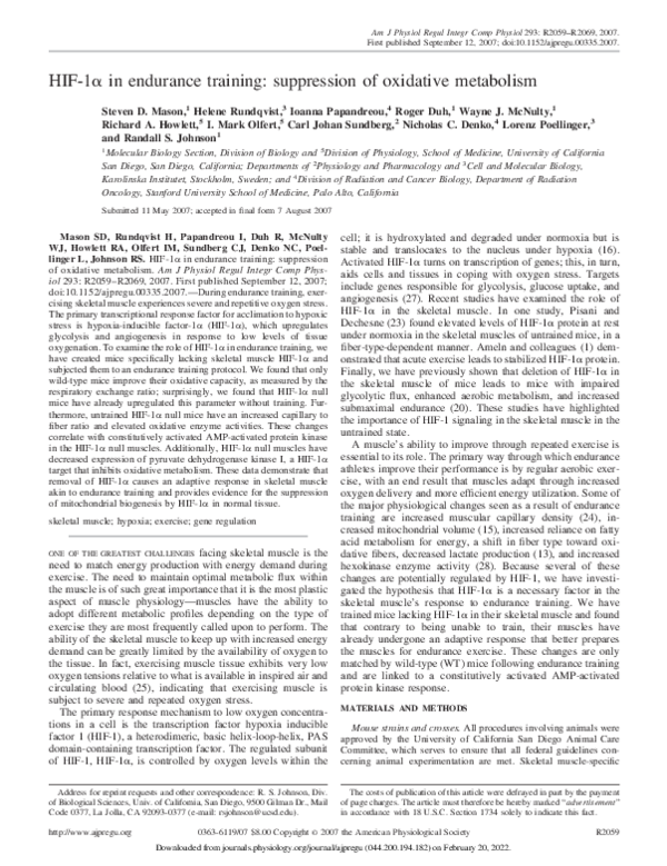 (PDF) HIF-1α in endurance training: suppression of oxidative metabolism ...