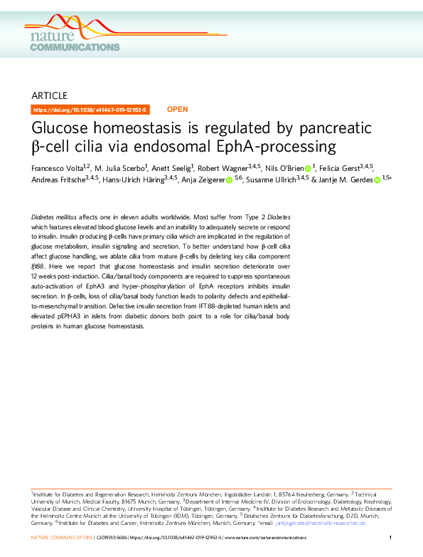 (PDF) Glucose homeostasis is regulated by pancreatic β-cell cilia via ...